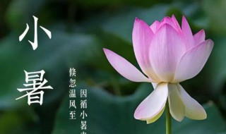 小暑是初伏吗（小暑是中伏吗）