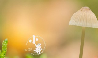 2021小暑是什么时间（2021年小暑是几时几分）