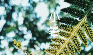 小暑是哪天2021 小暑是哪天?