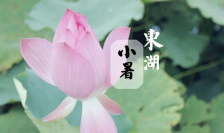 2021年小暑时间是几月几号（2021年大小暑是几月几号）