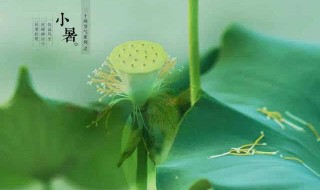 2021小暑节气的禁忌（2021小暑节气农历几月几时）