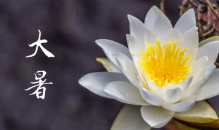 大暑是什么时候2021年 2021年大暑具体时间