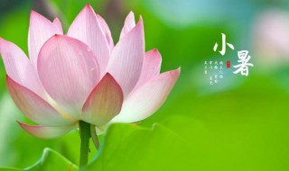 2021年小暑是阳历几月几日 2021年小暑是阳历几月几日