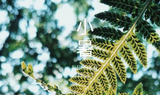 小暑是入伏第一天吗2021（小暑是入伏第一天吗2021八月）