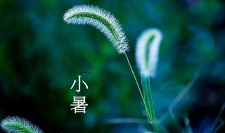 2021年小暑是什么时候（2021年小暑是哪天）