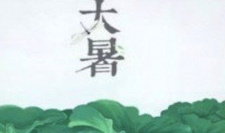 大暑是哪一天2021 大暑是哪一天几月几号