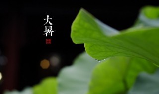 关于大暑的谚语有哪些 关于大暑的谚语有哪些三年级