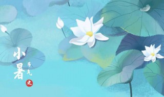 2021小暑节气的含义是什么意思 小暑节气啥意思