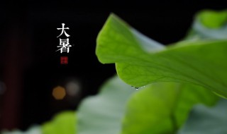 大暑节气祝福短信（大暑节气祝福短信图片）