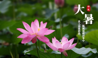 大暑是什么季节的节气（大暑是什么季节的节气之一）