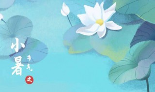 小暑忌讳什么 小暑不宜什么