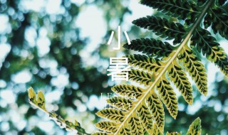 节气小暑是什么意思?（节气小暑是什么意思）