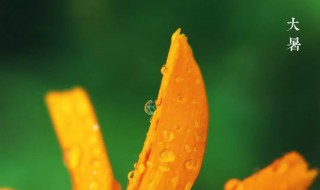 2021年大暑时间（2021年大暑时间表）