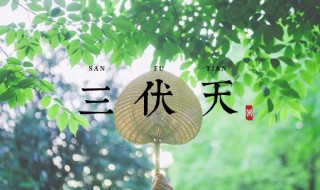 2021年三伏天时间表共多少天 2021年三伏天多长时间