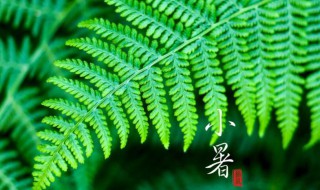 小暑大暑哪个热 是小暑热还是大暑热