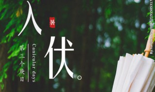 入伏时间怎么算（入伏怎么算起）