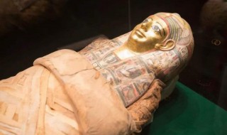 什么是木乃伊 什么是木乃伊图片大全