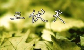 入伏说说（入伏说说朋友圈）