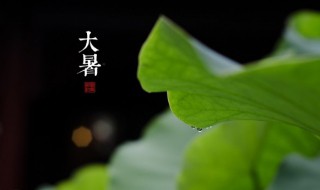 大暑节气问候语（大暑节气的问候语）