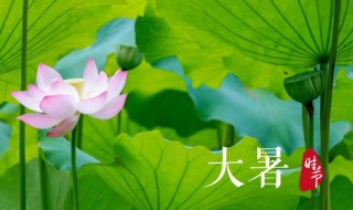 2021年大暑几日几时几分（2021年大暑是哪一天几时几分几秒）