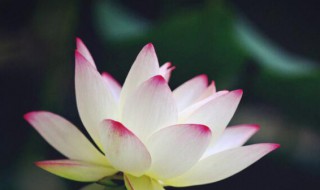 2021年大暑几点几分（2021年大暑几点几分几秒）