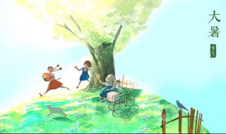 大暑的谚语有哪些 关于大暑的农谚或俗语