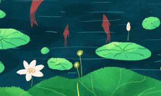 大暑习俗你知多少?（大暑的民间风俗）