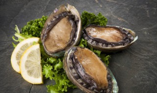 鲍鱼是寒性的还是温热（鲍鱼是寒性的还是温热性的）