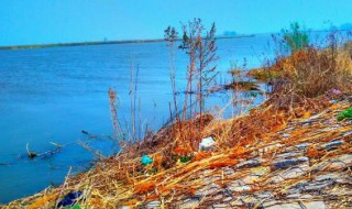 辽河是哪个省哪个市（辽河属于哪个省市）