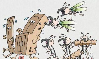 大水蚁和白蚁的区别（大水蚁和白蚁的区别是什么）