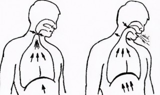 初学者怎么学腹部发音（初学者怎么学腹部发音训练）