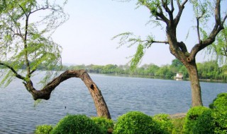 西湖周长多少公里 西湖风景区周长