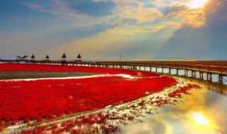 国家的实质是（国家的实质是什么）