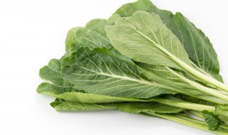 芥菜能吃吗（肾结石芥菜能吃吗）
