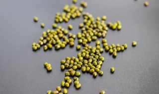 绿豆发芽了还能吃吗 泡过的绿豆发芽了还能吃吗