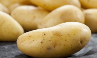 绿土豆能吃吗 没发芽的绿土豆能吃吗