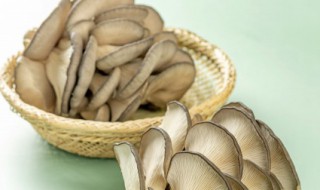 平菇发白还能吃吗（平菇发白还能吃吗有毒吗）