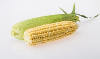 玉米如何长期存放 玉米如何长期存放不会坏