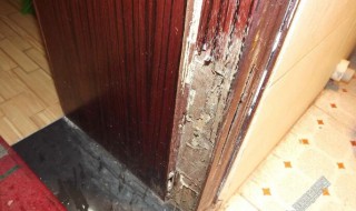 如何防白蚁入屋 怎么防白蚁进房间