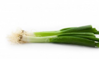 大葱移栽时间和方法（东北大葱移栽时间和方法）