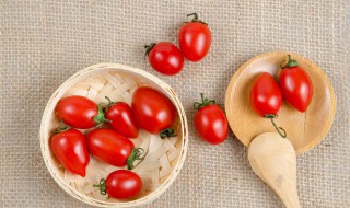 种植番茄需要注意什么 西红柿的种植方法和注意事项