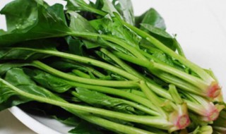 谷雨种什么菜好 谷雨种什么菜好吃又营养