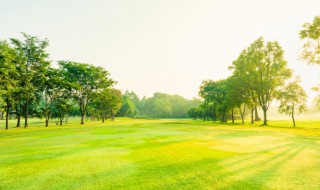 绿色发展理念是指什么（绿色发展理念的内容包括什么）