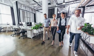 生肖马的办公室风水禁忌有哪些（属马的办公室放什么好）