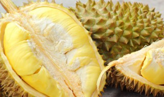 吃榴莲的季节是几月份 榴莲有什么好处和功效