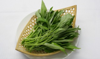 菜的种类（菜谱大全家常菜）