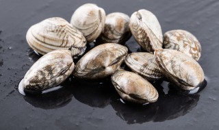 花甲是发物吗 发物最厉害的十种食物