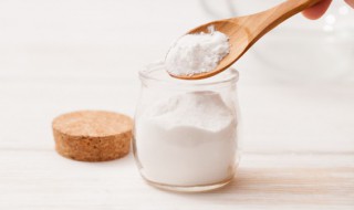 小苏打就是食用碱吗（碱和小苏打一样吗）