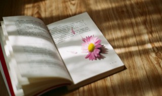 爱情四字成语唯美古风（爱情四字成语唯美古风句子）