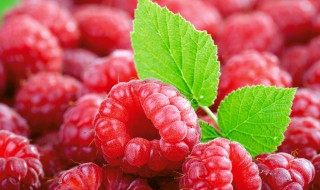 树莓是什么水果（树莓价格多少钱一斤）